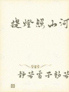 提灯照山河封面