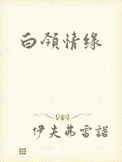 白领情缘封面
