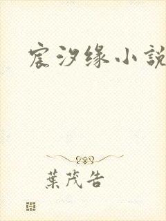 宸汐缘小说