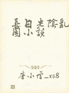 长日光阴乱作一团小说