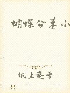 蝴蝶公墓小说