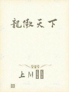 龙傲天下封面