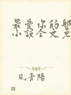 最爱你的那十年小说全文免费阅读