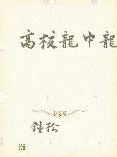 高校龙中龙