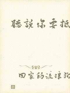 听说你要抵抗我
