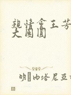 亲情会王芳高敏大团圆封面