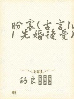 盼寡(古言1v1 先婚后爱)