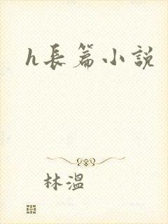 h长篇小说封面