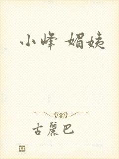 小峰 媚姨封面