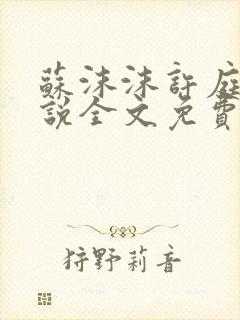 苏沫沫许庭川小说全文免费阅读