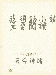 苏玥的小说全文免费阅读
