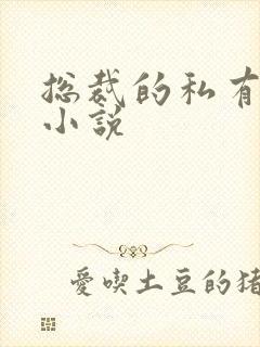 总裁的私有宝贝小说封面