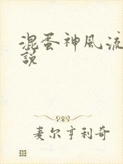 混蛋神风流史小说