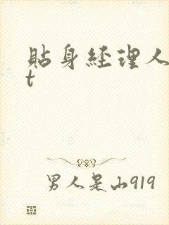 贴身经理人txt