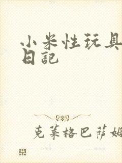 小米性玩具羞辱日记