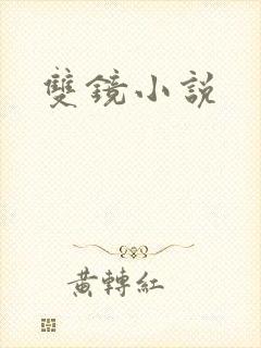双镜小说