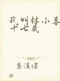 我叫林小喜今年十七岁