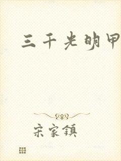 三千光明甲
