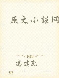 原文小说网封面