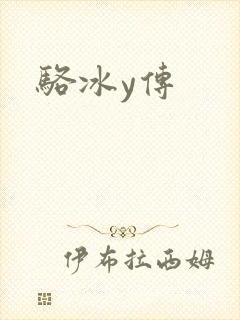 骆冰y传封面