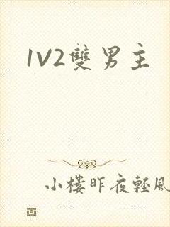 1V2双男主
