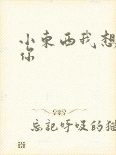 小东西我想弄坏你