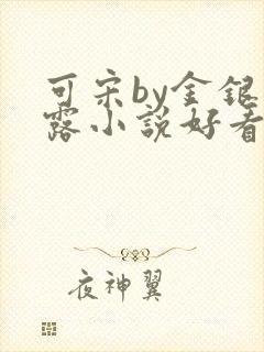 可宋by金银花露小说好看吗封面