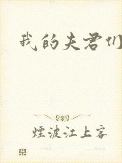 我的夫君们