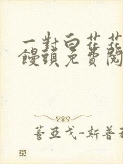 一对白花花的大馒头免费阅读