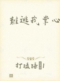 难逃我掌心