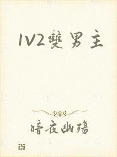 1V2双男主封面