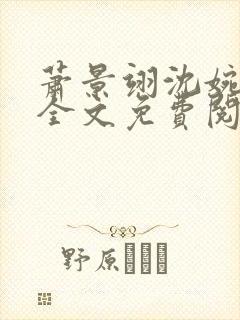 萧景翊沈婉小说全文免费阅读封面