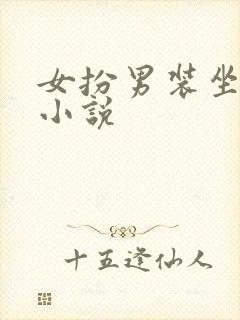 女扮男装坐江山小说