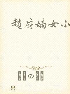 赵府嫡女小说