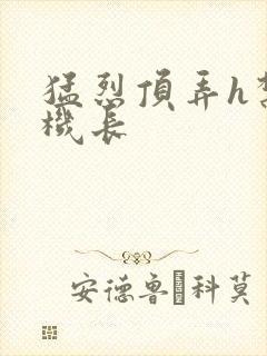 猛烈顶弄h禁欲机长封面