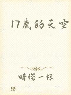 17岁的天空