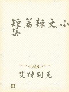 短篇辣文小说合集