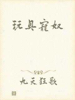 玩具宠奴