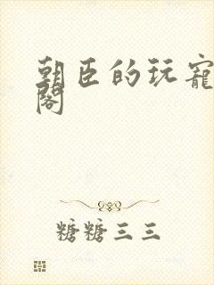 朝臣的玩宠笔趣阁封面