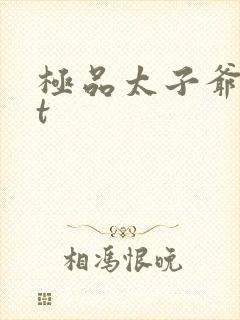 极品太子爷txt封面