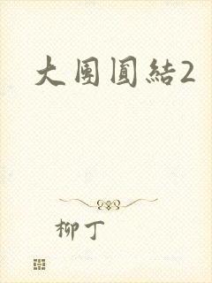 大团圆结2