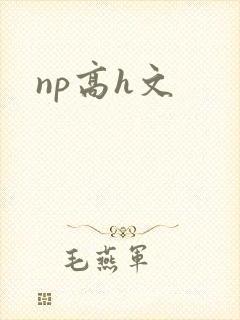 np高h文