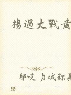 杨过大战黄蓉