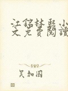 江铭林熙小说全文免费阅读