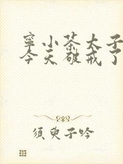 宁小茶太子殿下今天破戒了吗免费阅读