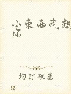 小东西我想弄坏你