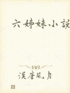 六姊妹小说