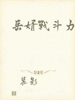 岳婿战斗力