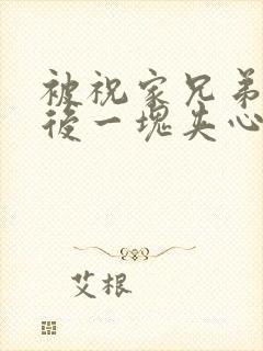 被祝家兄弟共享后一块夹心饼封面