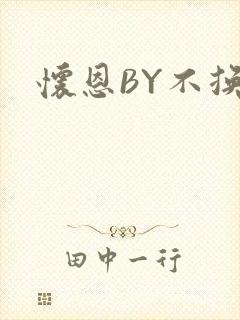 怀恩BY不换